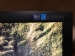 Монітор 22" Samsung SM 2243SN LS22MYYKBBA/EN Black, бу